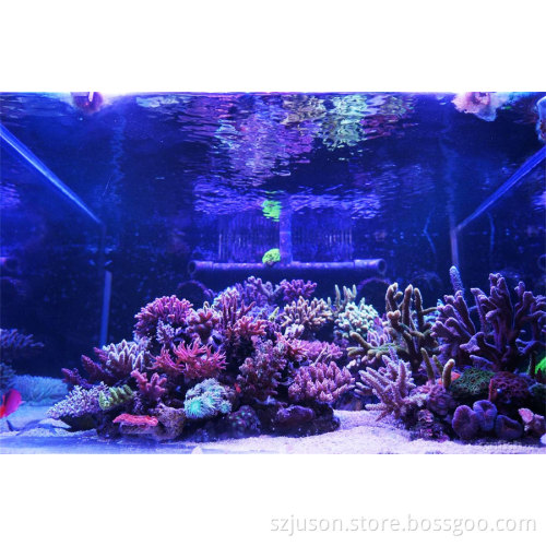 New Design Environment and Long Lifespan LED Aquarium Light RoHS passed 7 authentications